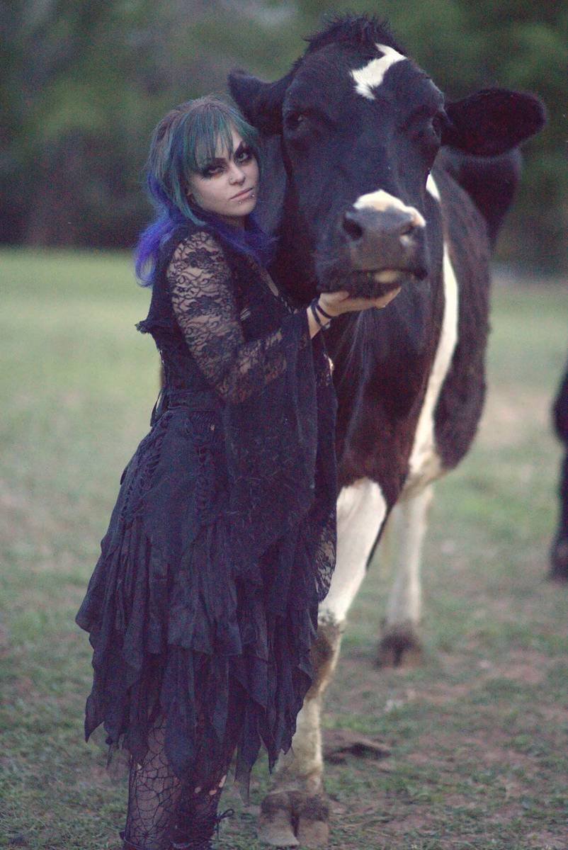 Gothic portrait with a cow at dusk
